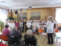Vystoupení dětí ze ZŠ Na Habru