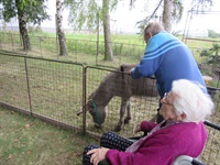 Výstava chovatelů